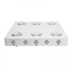 LED coltiva la luce