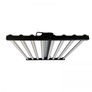 LED coltiva la luce