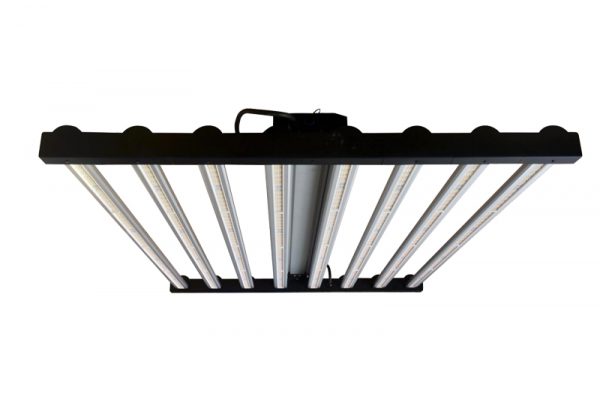 LED coltiva la luce