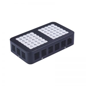 LED Grow Light