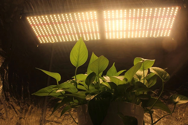 LED Grow luč