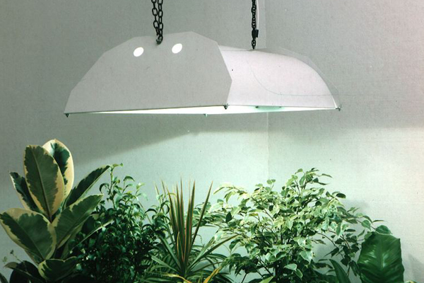 LED Grow Lights